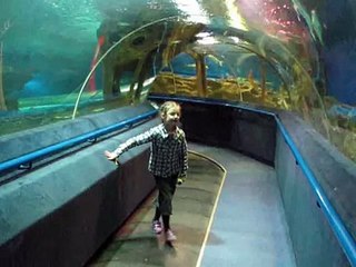 Большая рыбка 27 may 045