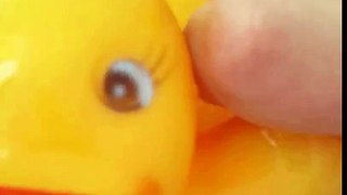 Happy Ducks | Peppa Arcoiris