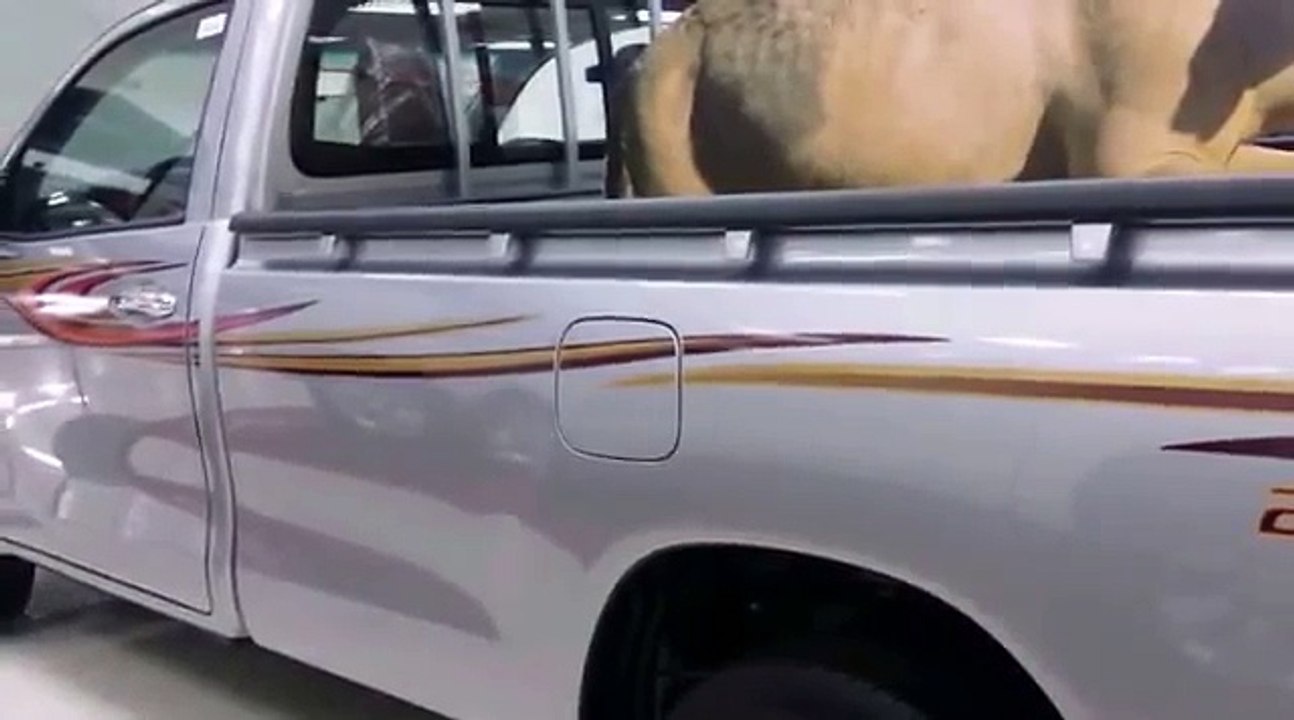 هايلوكس 2016- لكزس  مواصفات شركة بهوان ولا اجمل