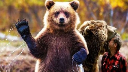 CET ANIMAL EST TRÈS CÂLIN !