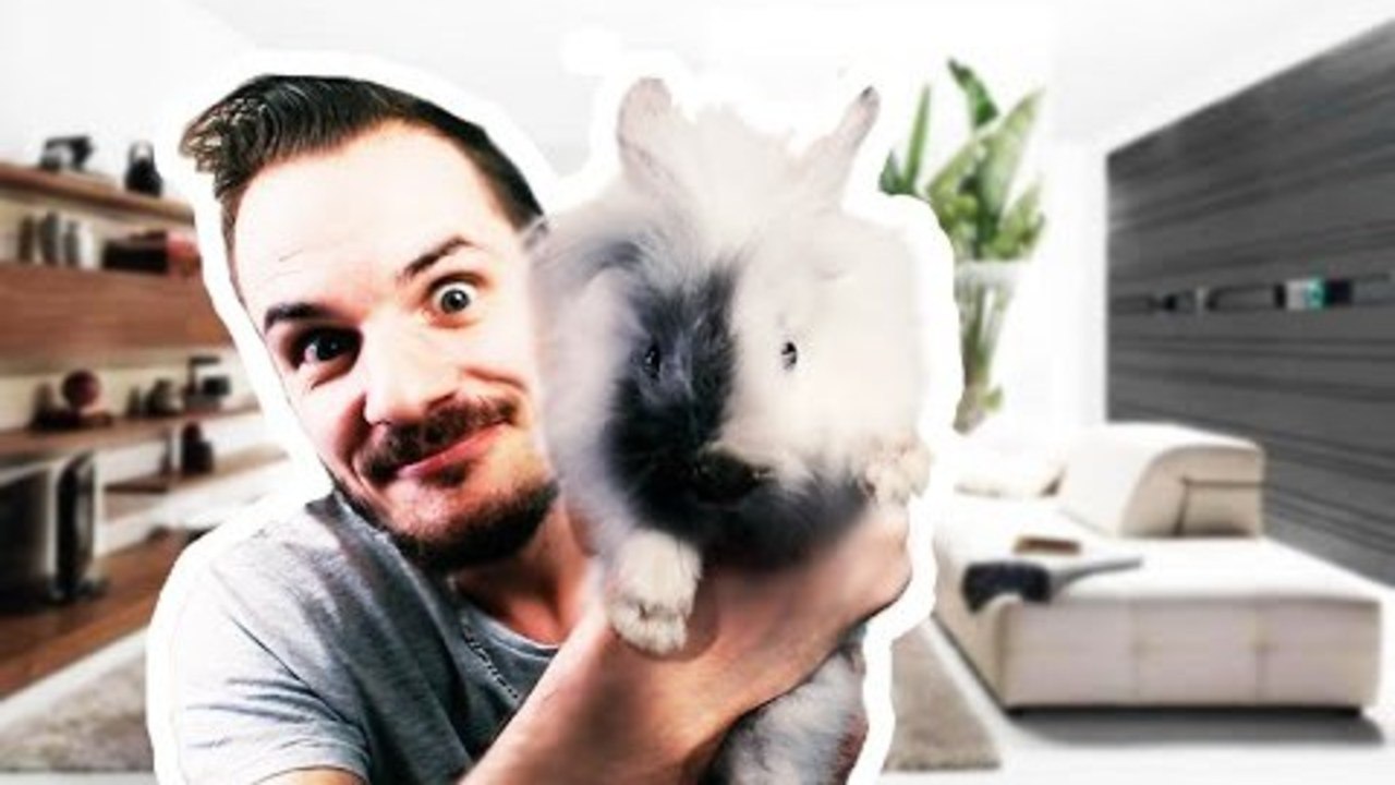 MON LAPIN EXTRA NAIN