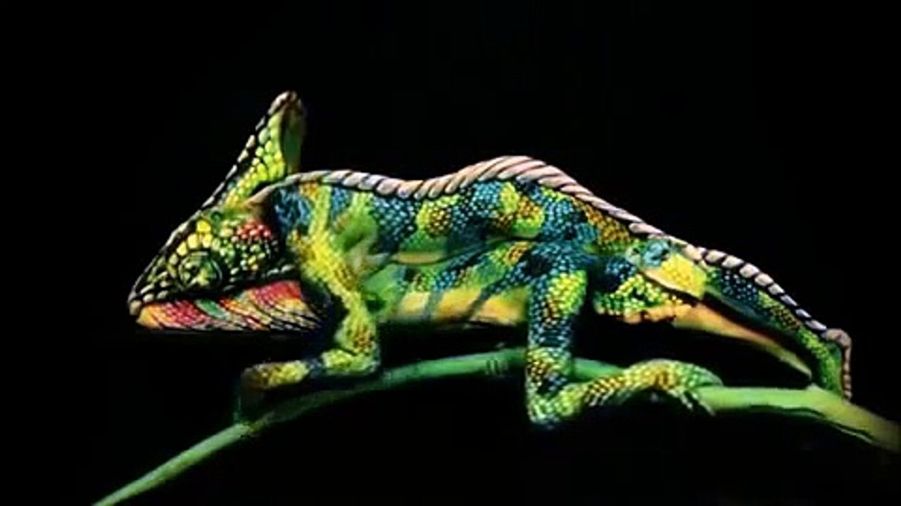 CAMALEÂO