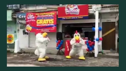 COMPILADO N17 Sony C5 Ultra  - Virales Wsapp