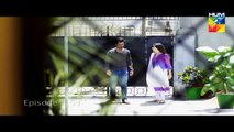 Haya Ke Daman Mein Episode 54 Full HD Hum TV Drama 14 June 2016