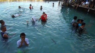 kolam hiu karimun jawa enjoy 22-25 des 2012