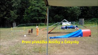 Anička první agility s Čeký  20.  7.  2012
