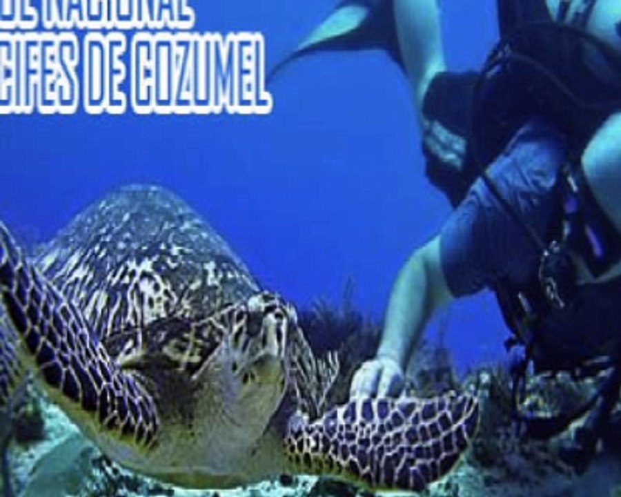 video cozumel.