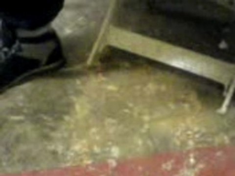 1 klassic fo pa l oublié