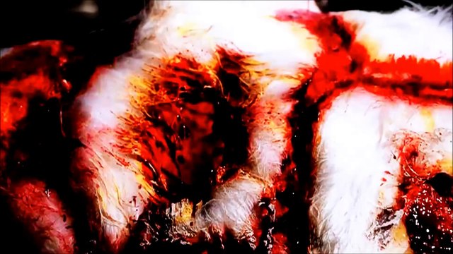 Cattle Decapitation 'Clandestine Ways (Krokodil Rot)' (OFFICIAL VIDEO CENSORED)[1]