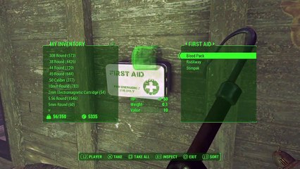 Fallout 4 Far harbor saving private Ryan Easter Egg