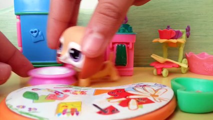 Abby İle Miniş Yemekleri (Part 5) | LPSEM miniş