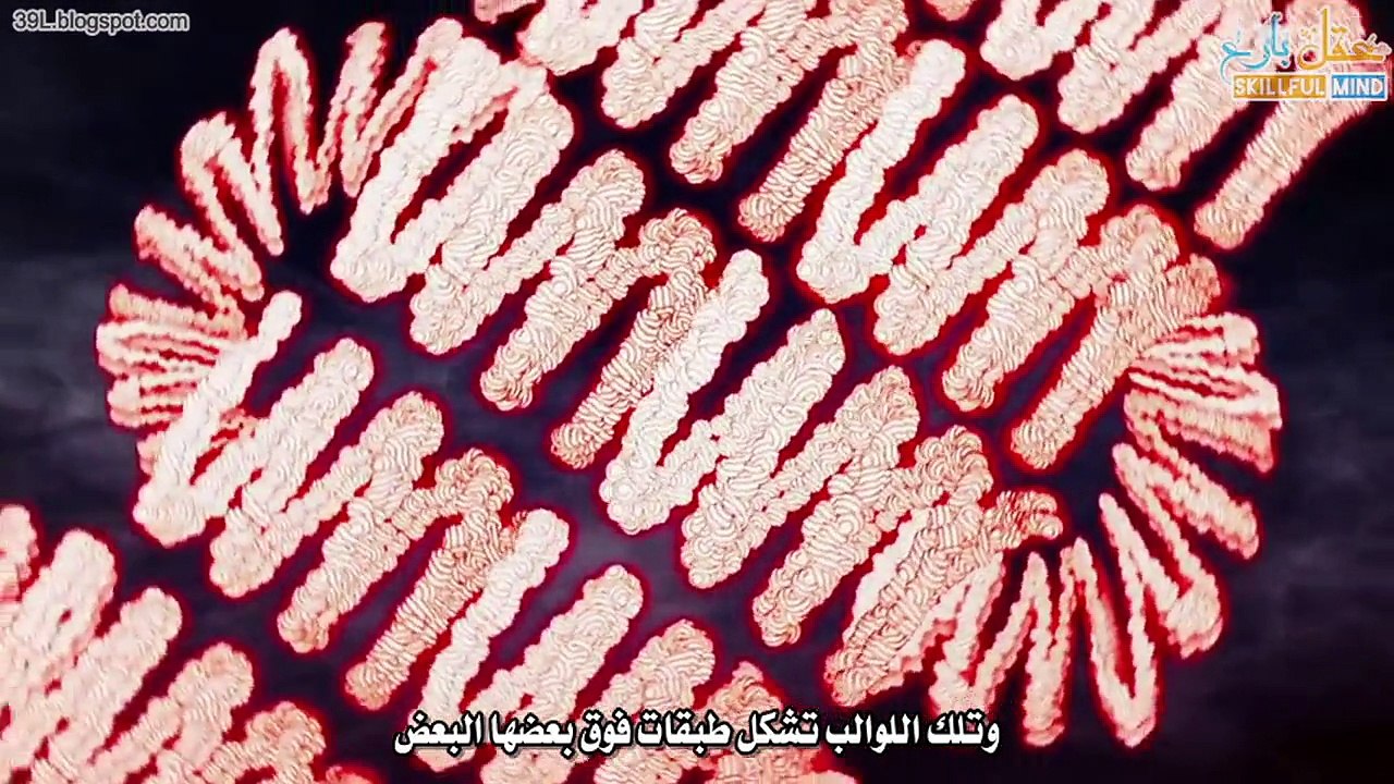 قصّة الحمْض النووِيّ - الجينوم اَلَّذِي يٌشَكَّلٌك