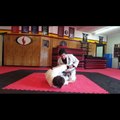 BJJ: Passing the Z Guard at NoHo MMA