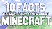 10 Facts You Maybe Didn't Know About Minecraft