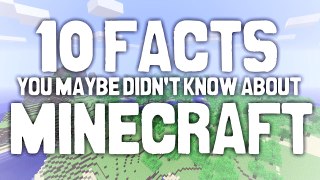 10 Facts You Maybe Didn't Know About Minecraft