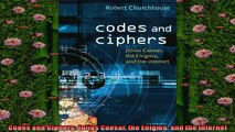 FREE DOWNLOAD  Codes and Ciphers Julius Caesar the Enigma and the Internet READ ONLINE