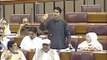 Murad saeed one of the best speech in national assembly
