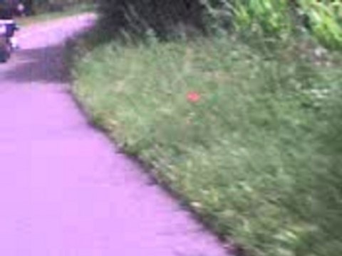 Pointe d une rieju smx pro