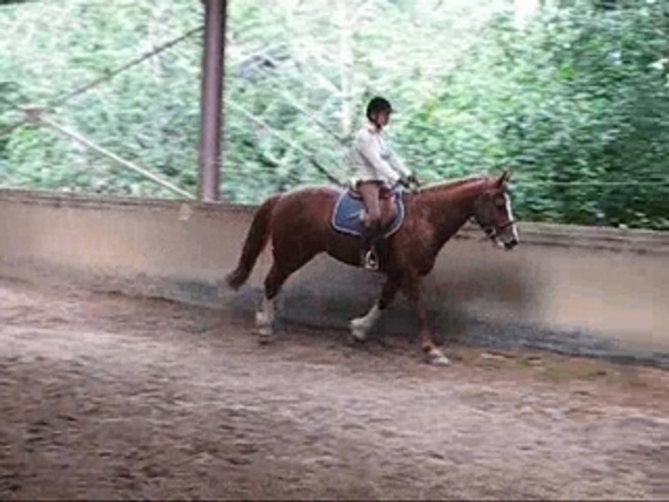 Cours gabrielle