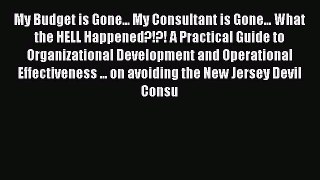 Read My Budget is Gone... My Consultant is Gone... What the HELL Happened?!?! A Practical Guide