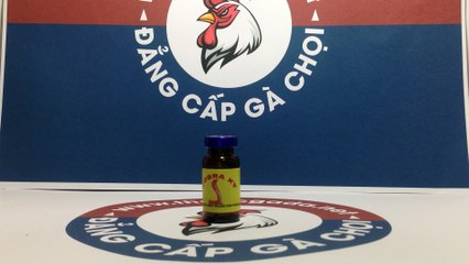 Cobra XT, Thuốc tăng lực cho gà đá mạnh nhất của Mexico