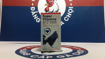 Super Vitamina B12 5500, Thuốc chích gà đá hiệu quả của Tornel Mexico