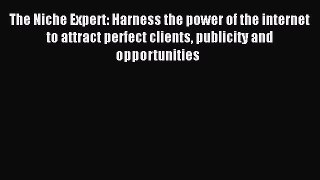 Read The Niche Expert: Harness the power of the internet to attract perfect clients publicity