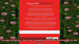 Free PDF Downlaod  Escape Velocity Free Your Companys Future from the Pull of the Past  DOWNLOAD ONLINE