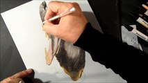 How I Draw a 3D Drawing a Hippo, Trick Art by Vamos
