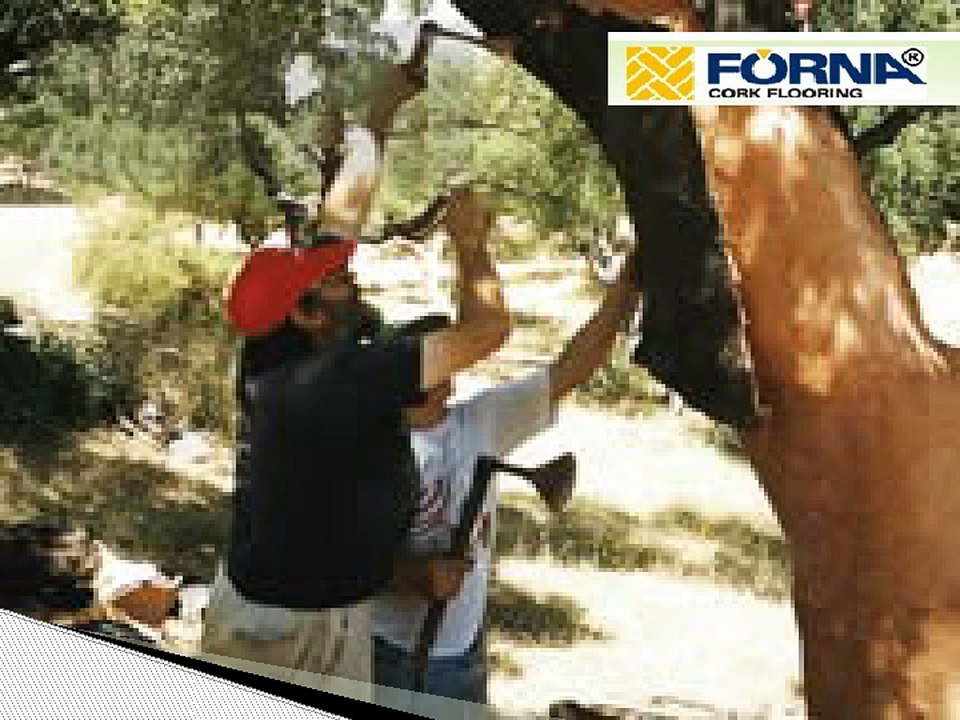 Cork Flooring Tiles & Wall Tiles