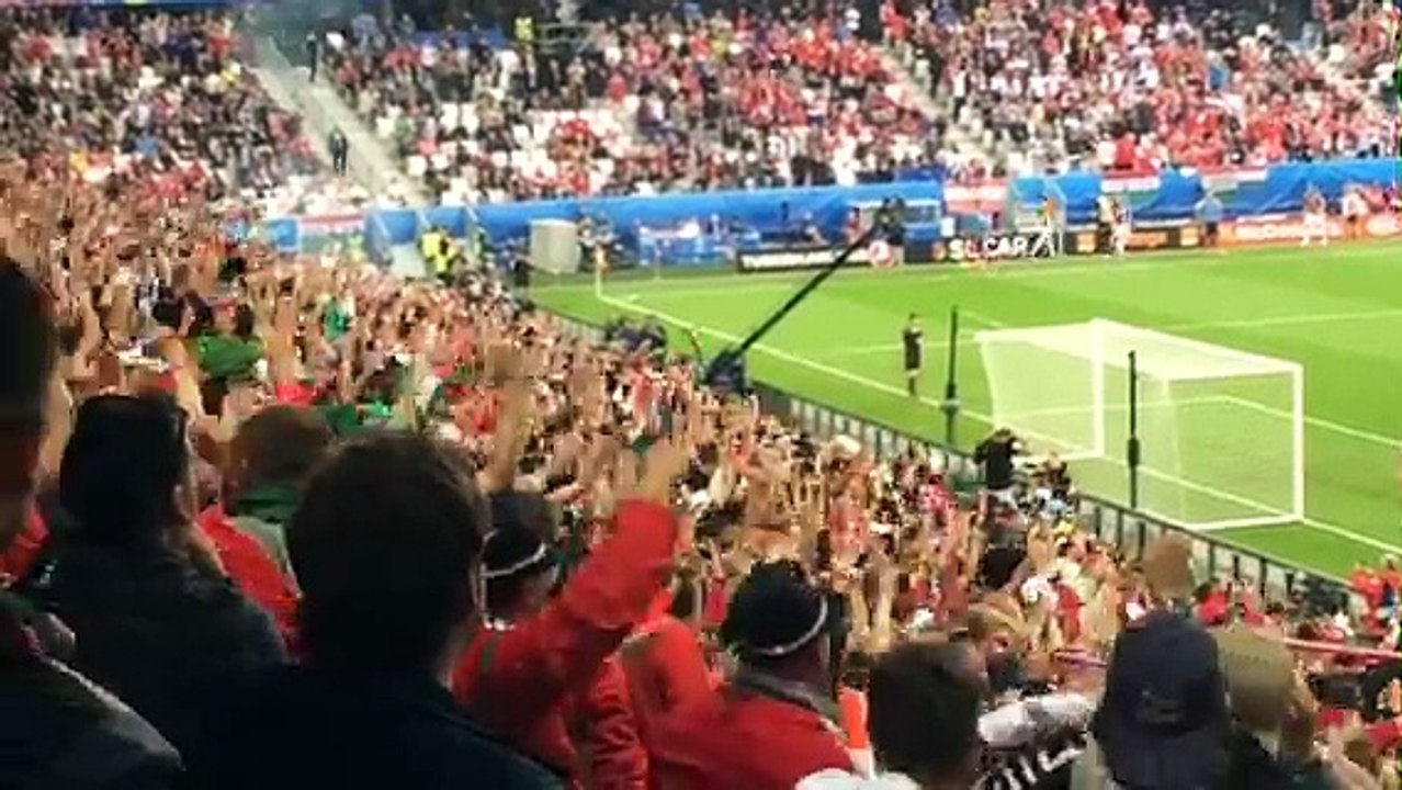 Les supporteurs hongrois fêtent le premier but