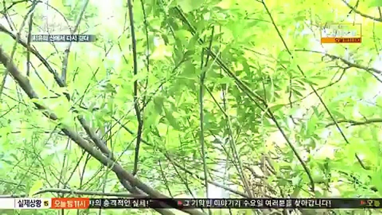 나는 자연인이다.E196.160615