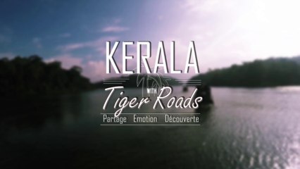 Tiger Roads - Kerala découverte