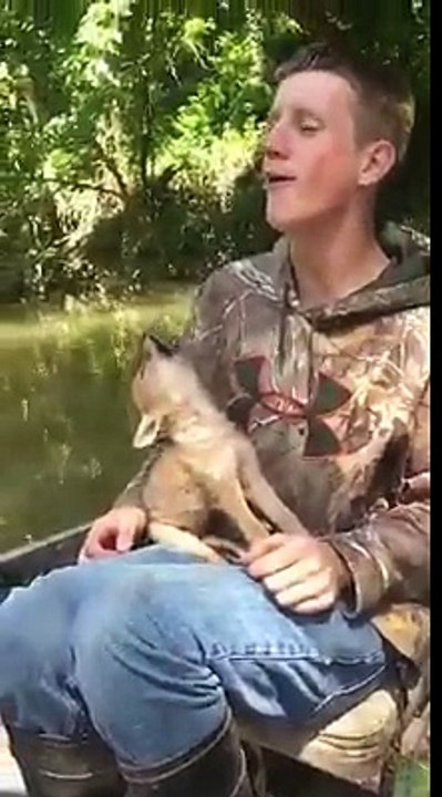 Hurlements trop mignons d'un bébé Coyote !
