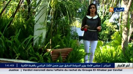 بنة و فائدة   طاجين الملسوقة