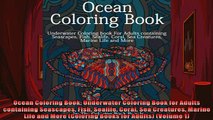 FREE PDF  Ocean Coloring Book Underwater Coloring Book for Adults containing Seascapes Fish Sealife  FREE BOOOK ONLINE