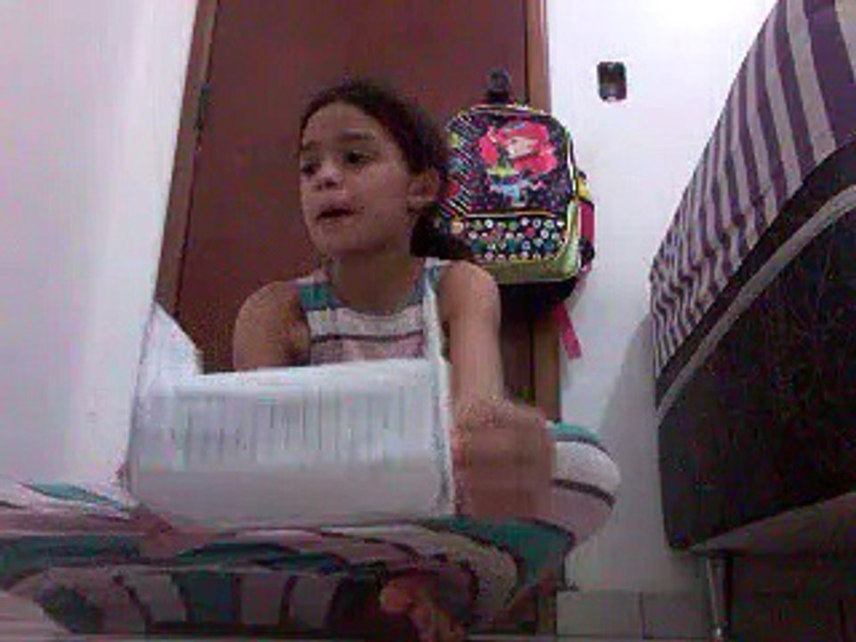 Coisas que acabei de fazer da casinha da minha polly