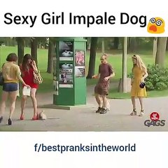 Girl Killed The Dog With Her Shoes