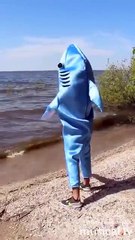 Shark-Ira Shark-Ira !