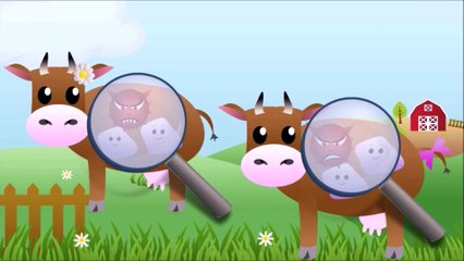 La bio-informatique au service de la santé animale