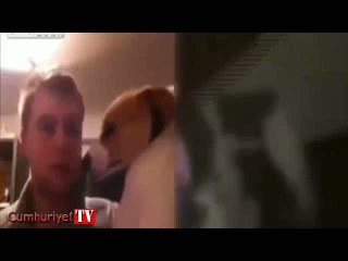 Köpeği yumruklayan gence feci dayak