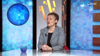 Isabelle Job-Bazille, Solidité et risques sur la reprise française