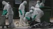 China detecta tres casos humanos de gripe aviar H7N9 en Pekín y Tianjin