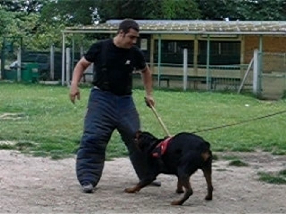 entraînement du 24/06/2007 valdo élastique + lancé