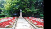 La TEIUL LUI MIHAI EMINESCU, Parcul Copou-Iași la 127 ani de la moartea Poetului