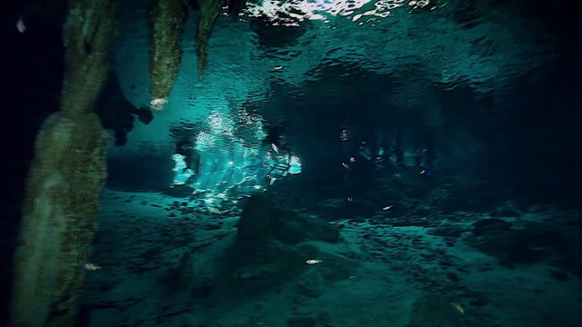 Cénotes sacrés du Yucatan