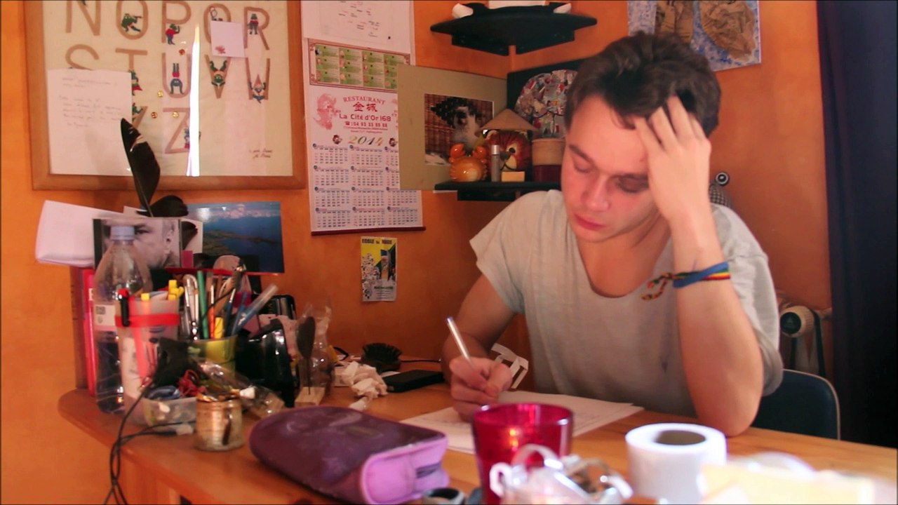 «Non au harcèlement 2016», lauréat académique : Lycée Simone Veil de Valbonne « LEO »