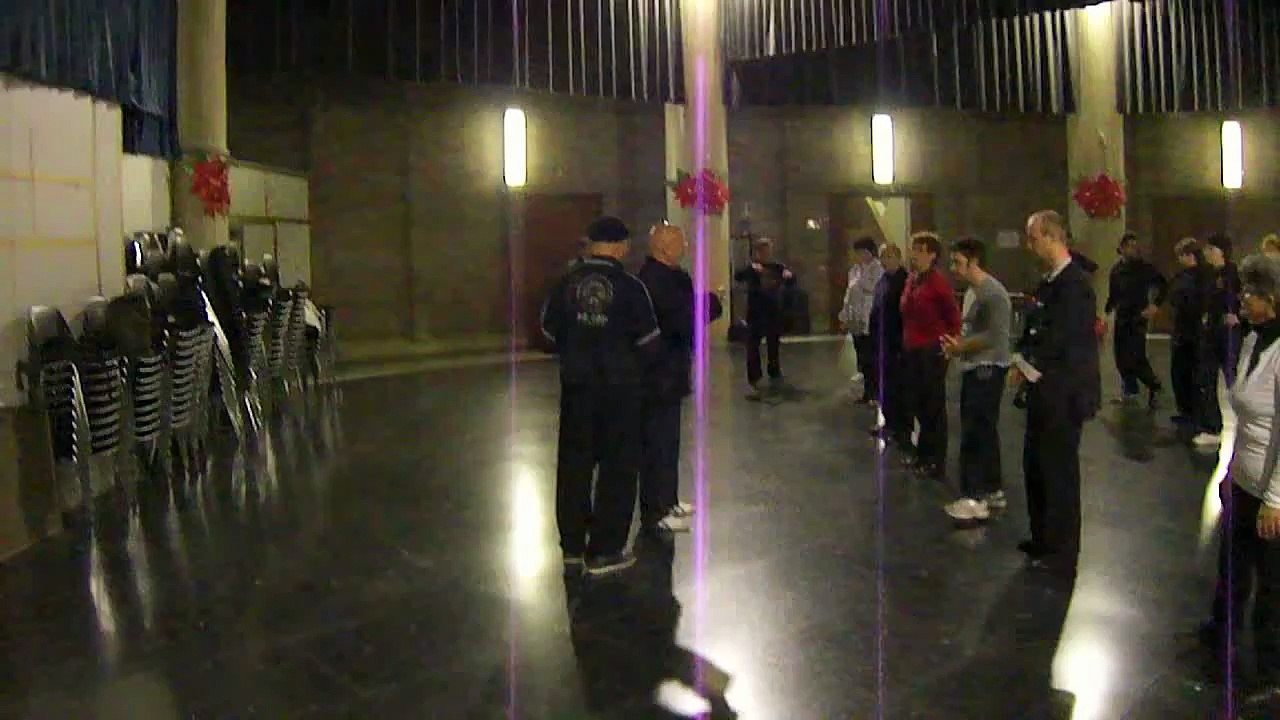 Maestro George Xu, Taiji Quan e Qi Gong Roma: "Usare Solo la Mente"