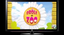 TROP DROLE ¦ l'hippopotame PARLE ¦ Essayez de ne pas RIRE ! Video Drole - Compilation 2016