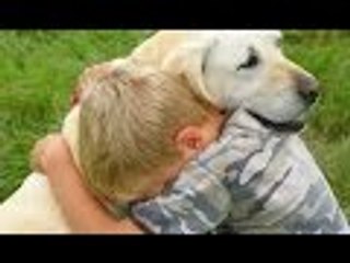 Dogs  as Angels 2016 - 2017